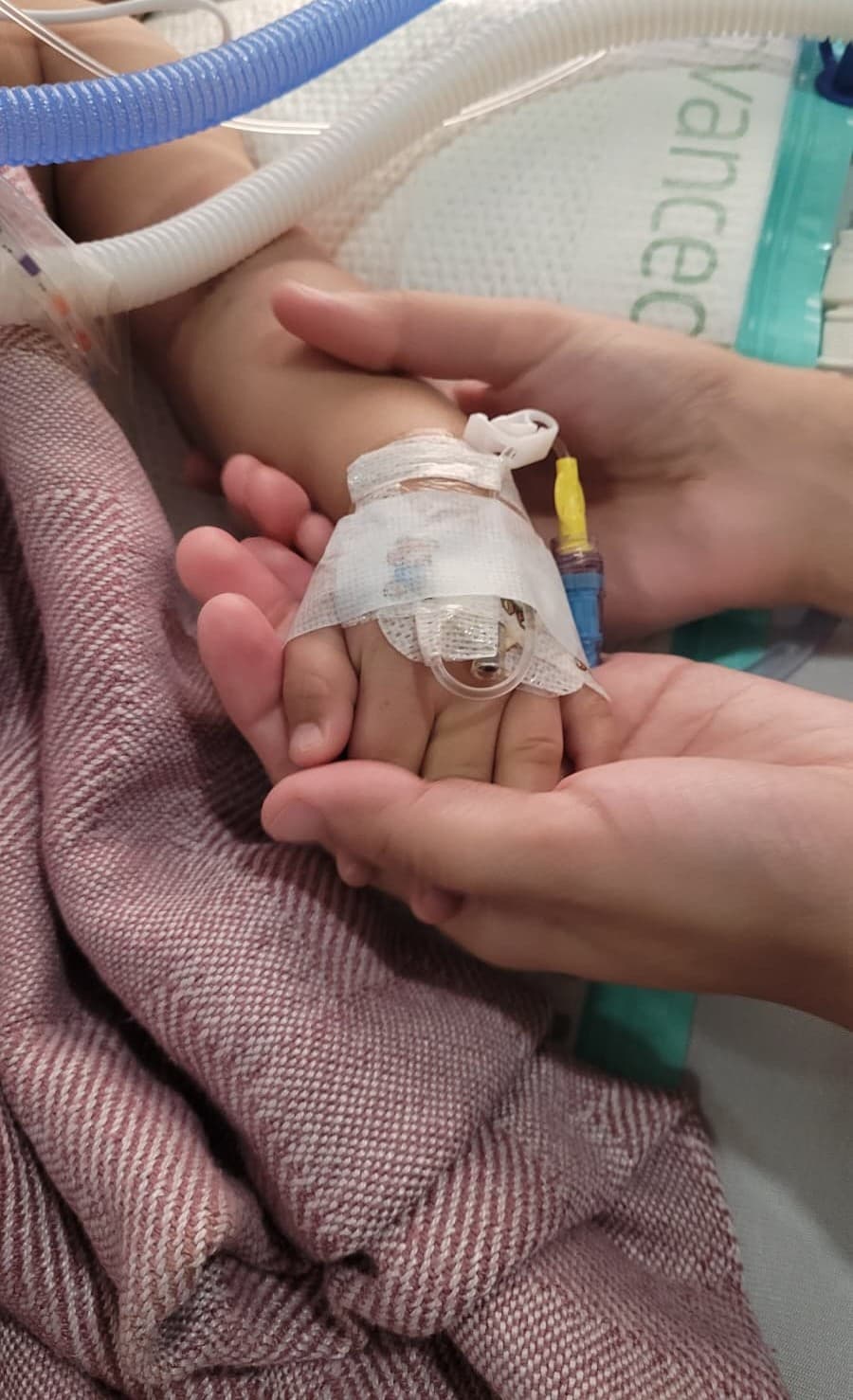 Salahaddin’s hand
